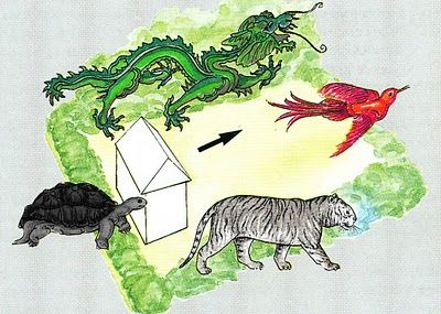 Feng Shui es también Ecología