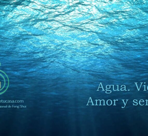 Agua. Vida. Amor y sentido.